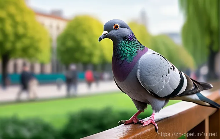 비둘기 환경 적응력 - **"Sky Villa" on a High-Rise**
    An atmospheric scene depicting a pair of tranquil city pigeons ma...