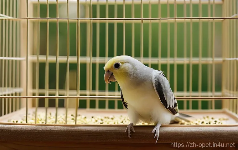 칵테일 앵무새 교감 훈련 - Image Prompt 1: The First Peck of Trust**