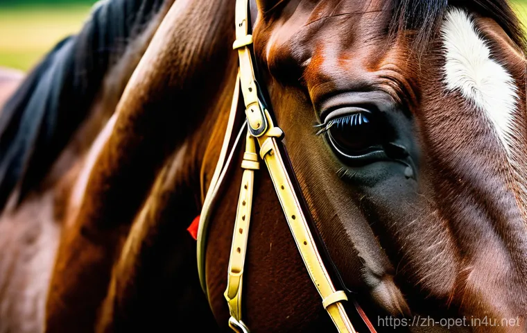 말 조련 전문가 인터뷰 - Here are three detailed image generation prompts in English, designed to be appropriate for a 15-yea...