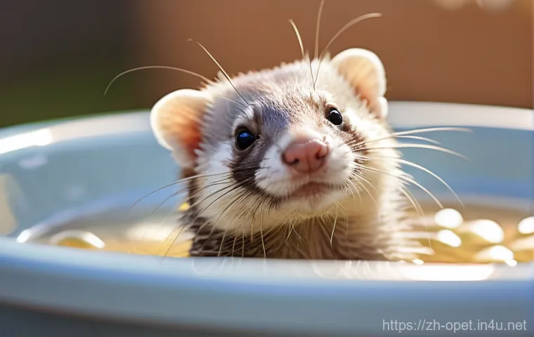페럿 미용 방법 - "A cute, fluffy ferret enjoying a gentle bath in a small, non-slip basin. The water is warm and slig...