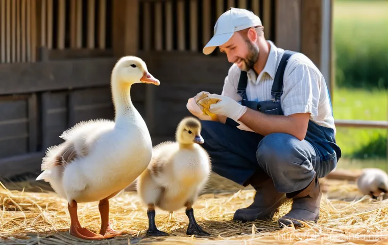 거위 사육 기초 - **Prompt:** A heartwarming scene at a sun-drenched, reputable goose farm. A friendly, kind-faced far...