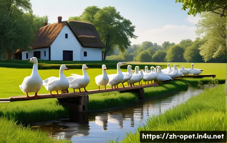 거위 질병 예방법 관련 이미지 2