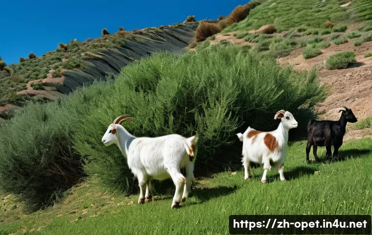 염소 농업 활용 사례 - **Prompt: Ecological Fire Prevention**
    "A picturesque scene of a herd of healthy, active goats g...